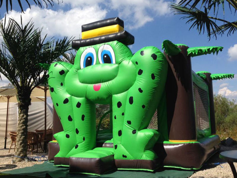 Hüpfburg Frosch